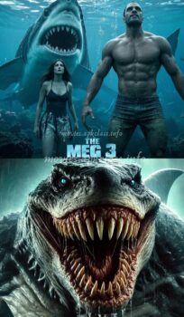 The Meg 3